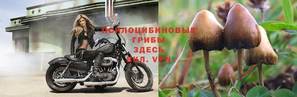 МДПВ Арсеньев