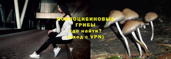 индика Аркадак