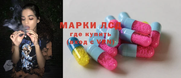 индика Аркадак