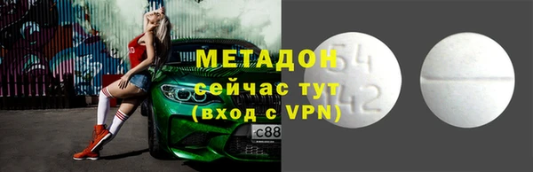 индика Аркадак