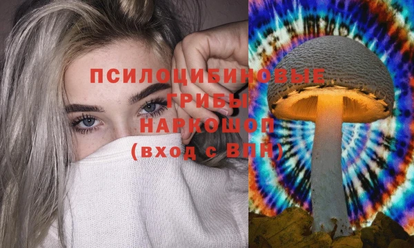 МДПВ Арсеньев