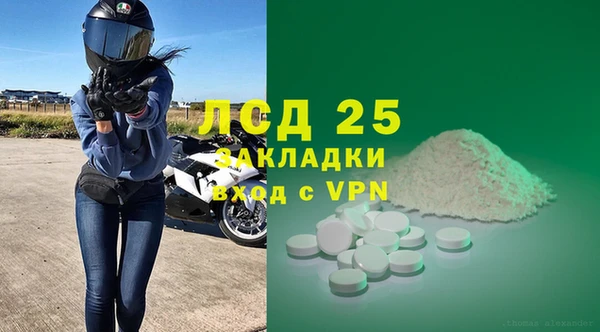 индика Аркадак