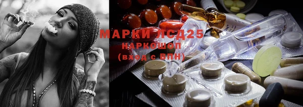 индика Аркадак