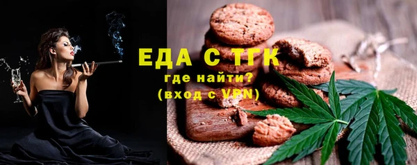 индика Аркадак